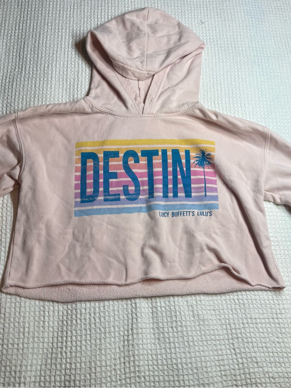 Pink DESTIN Graphic Hoodie for Kids